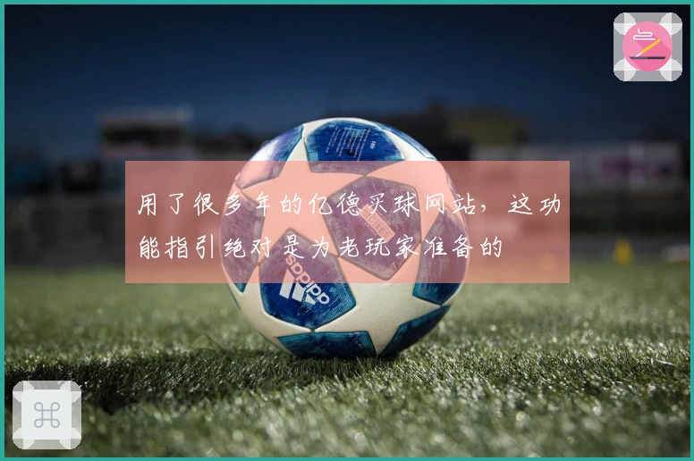 用了很多年的亿德买球网站，这功能指引绝对是为老玩家准备的