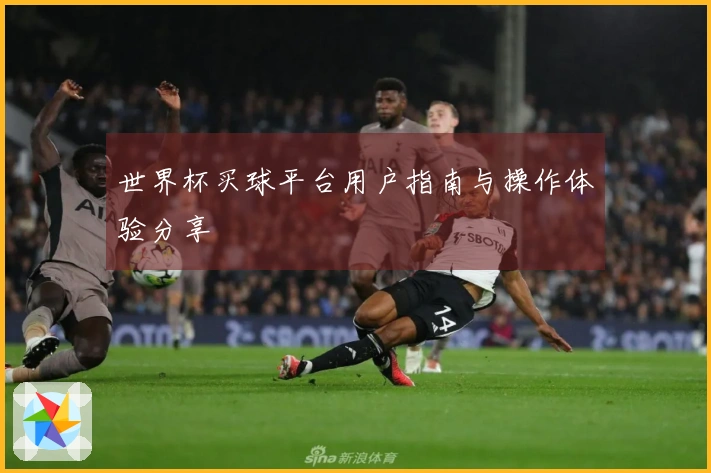 世界杯买球平台用户指南与操作体验分享