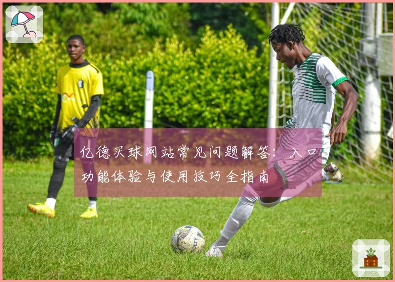 亿德买球网站常见问题解答：入口功能体验与使用技巧全指南