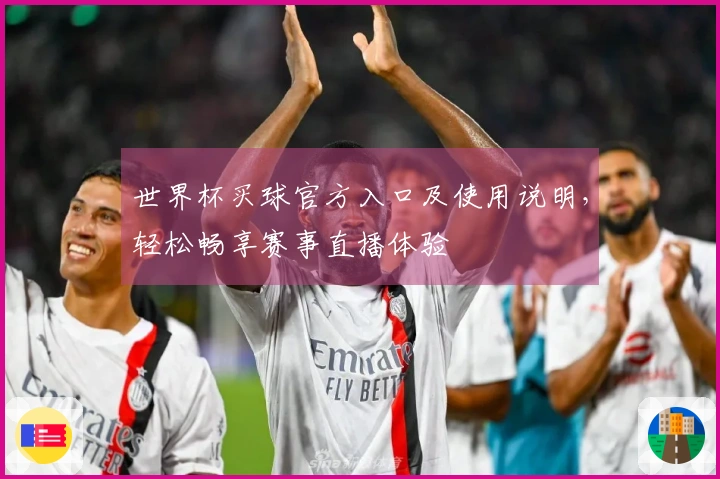 世界杯买球官方入口及使用说明，轻松畅享赛事直播体验