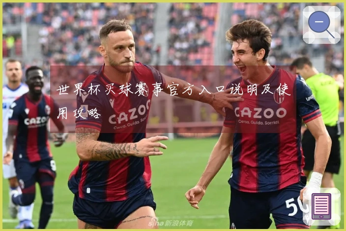 世界杯买球赛事官方入口说明及使用攻略