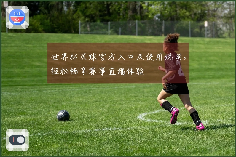 世界杯买球官方入口及使用说明，轻松畅享赛事直播体验