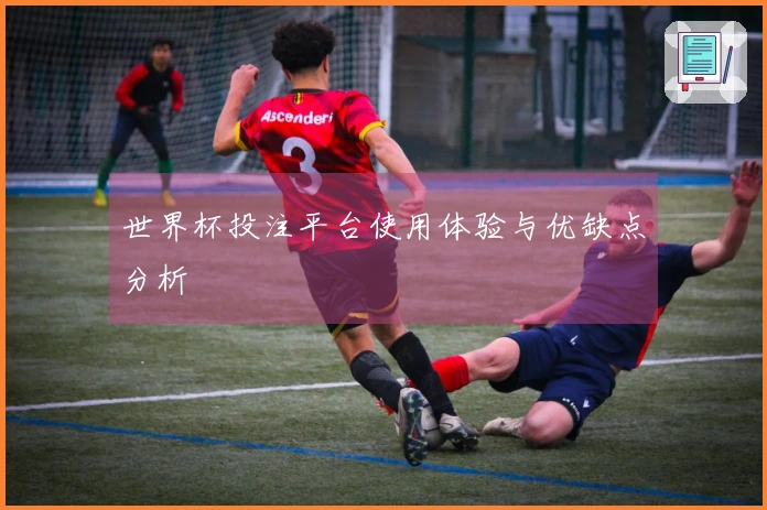 世界杯投注平台使用体验与优缺点分析