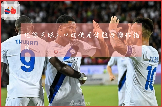 亿德买球入口的使用体验与操作指南