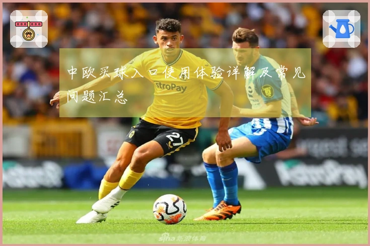 中欧买球入口使用体验详解及常见问题汇总