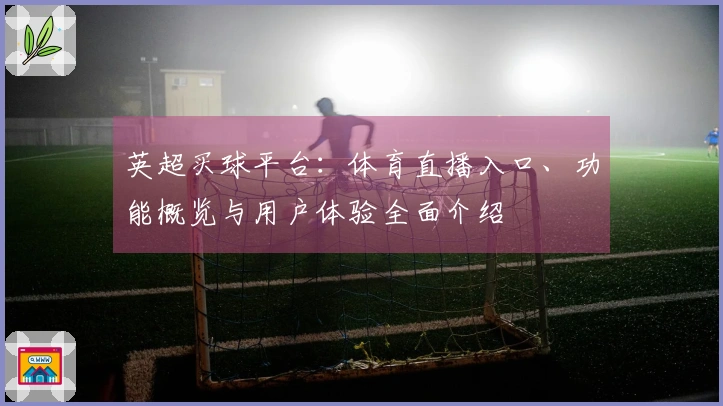 英超买球平台：体育直播入口、功能概览与用户体验全面介绍