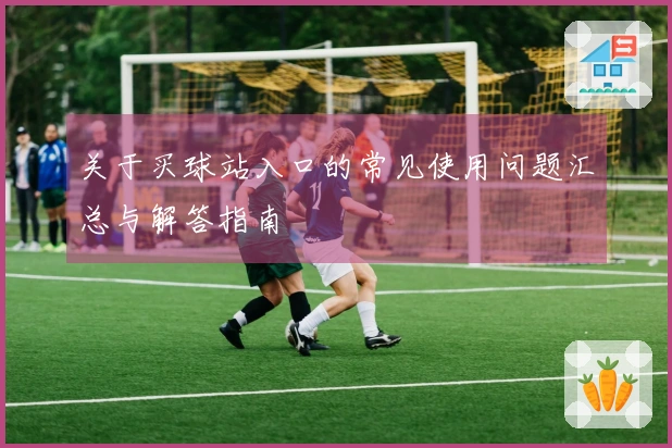 关于买球站入口的常见使用问题汇总与解答指南