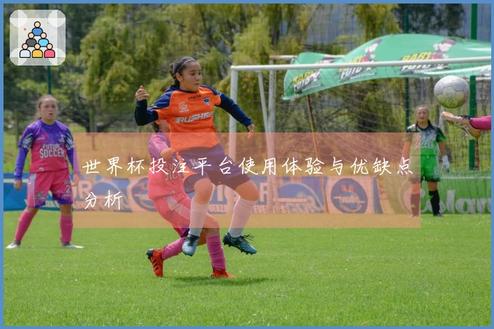 世界杯投注平台使用体验与优缺点分析