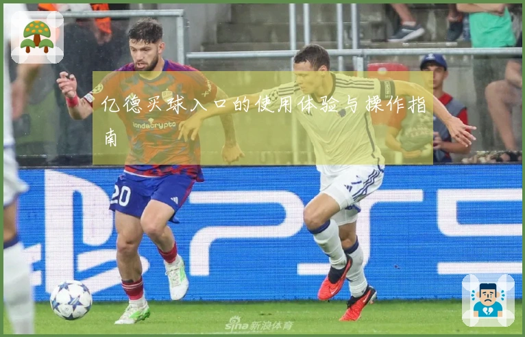 亿德买球入口的使用体验与操作指南