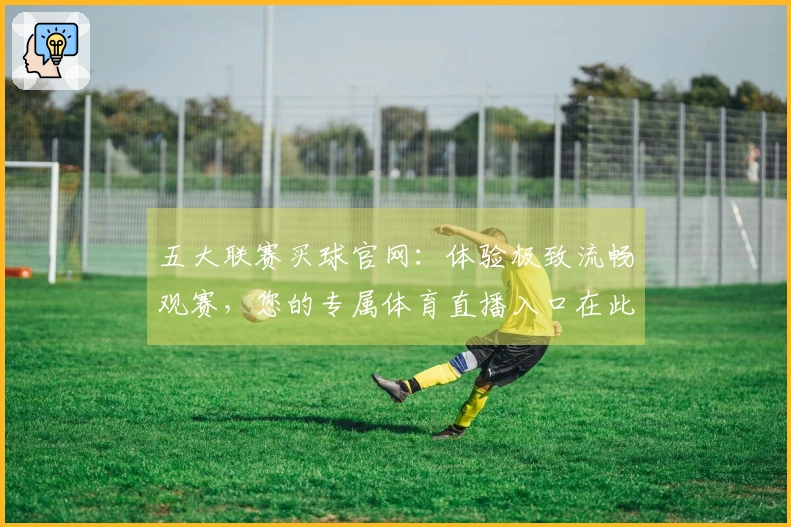 五大联赛买球官网：体验极致流畅观赛，您的专属体育直播入口在此。