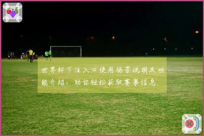世界杯下注入口使用场景说明及功能介绍，助你轻松获取赛事信息