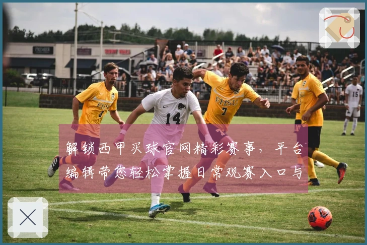 解锁西甲买球官网精彩赛事，平台编辑带您轻松掌握日常观赛入口与实用功能